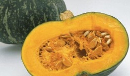 吃毒瓜的危害,揭秘食用有毒瓜果的严重后果