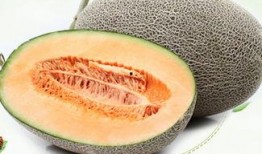 湿疹吃哈密瓜,哈密瓜助力缓解不适