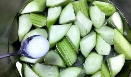 吃瓜怎么不发黑,夏日防晒新攻略