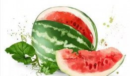 广场吃瓜啥意思,揭秘网络热议背后的真相与趣味