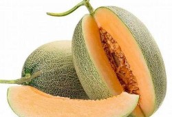吃哈密瓜在几月,哈密瓜成熟季