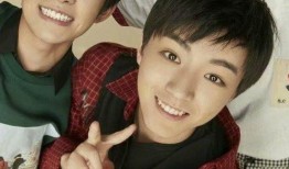 吃瓜tfboys买票,吃瓜群众纷纷加入购票大军