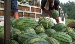 吃瓜 山西,吃瓜群众眼中的地方风情