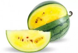 吃瓜菏泽郓城,吃瓜群众的热议焦点