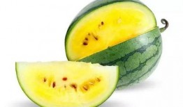 吃瓜菏泽郓城,吃瓜群众的热议焦点