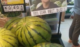 吃瓜楼我的瓜保熟,我的瓜保熟，轻松解锁美食新境界