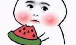 小崽子吃瓜视频,揭秘娱乐圈幕后故事