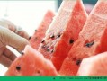 晚上吃小瓜发胖,晚间食用小心发胖陷阱