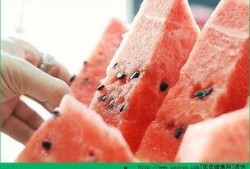 晚上吃小瓜发胖,晚间食用小心发胖陷阱