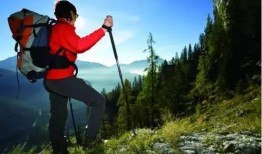 爬山三人吃瓜,共享夏日清凉时光