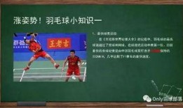 羽毛球群吃瓜