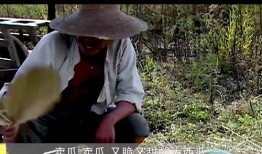 卖瓜吃不给钱,诚信经营，共享共赢