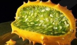 晚上吃角瓜影响睡眠,睡眠质量大打折扣？揭秘晚间食用角瓜的潜在影响